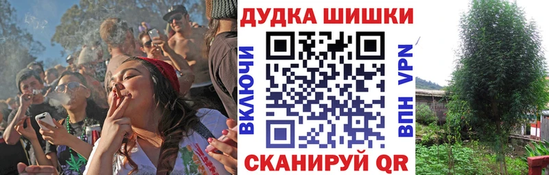 Шишки марихуана Amnesia  Удачный 